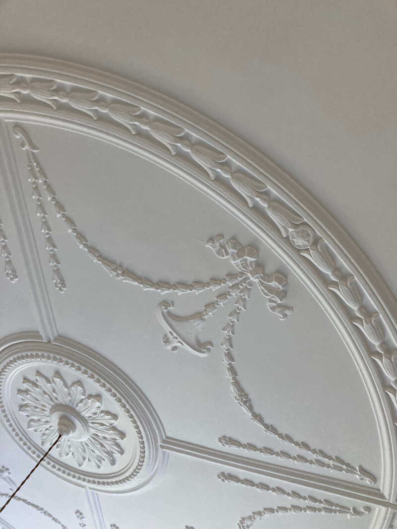 Professional painting of an ornate plastered ceiling with intricate designs and decorative patterns by BIP company